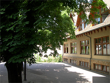 Gesztenyés udvar